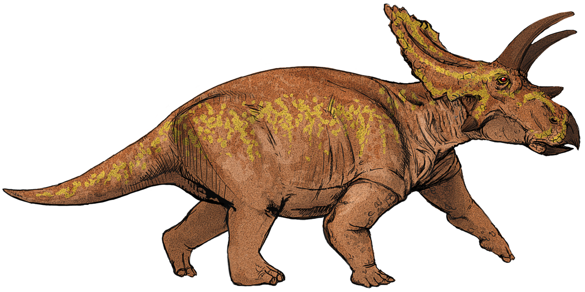 Centrosaurus Ceratopsiano