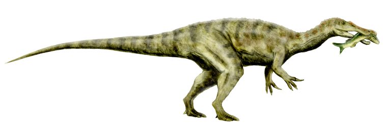 Staurikosaurus pricei