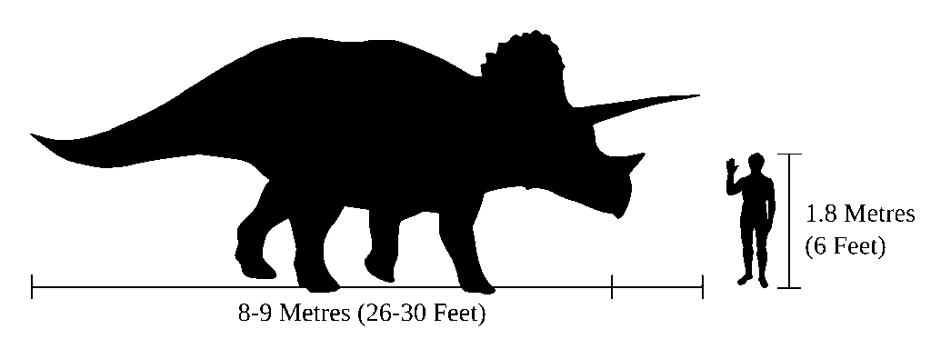Triceratops