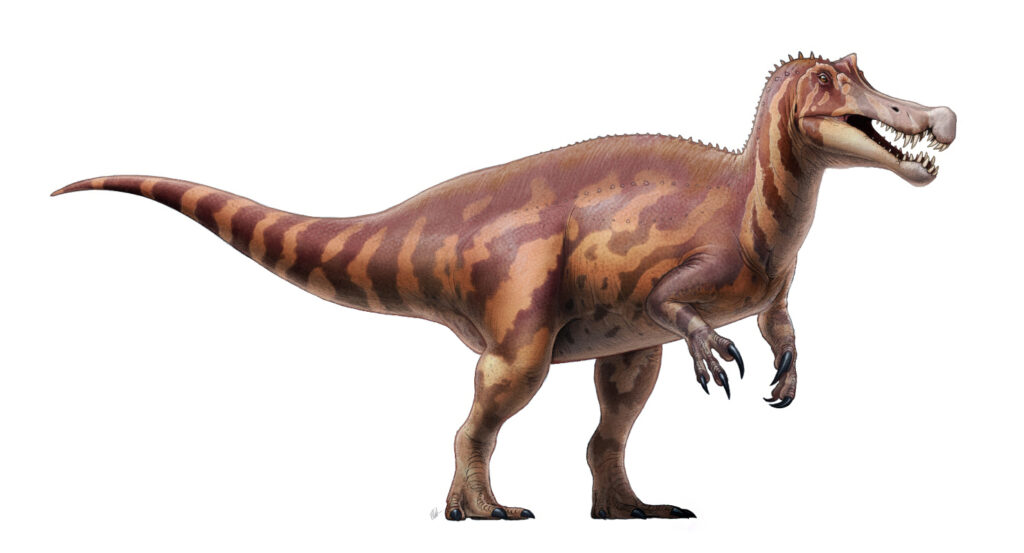 Irritator challengeri