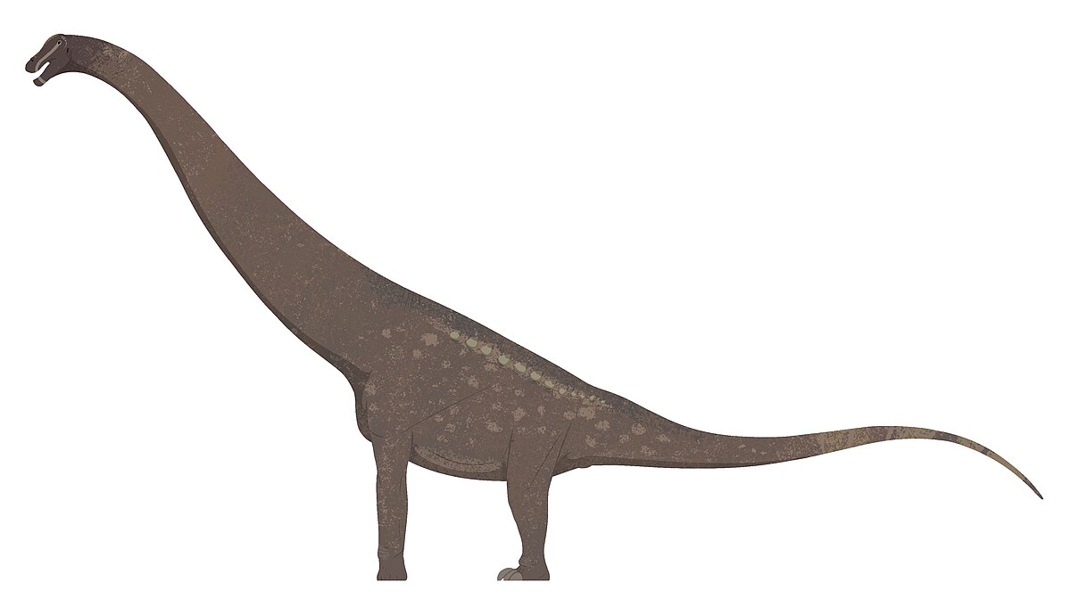Trigonosaurus pricei
