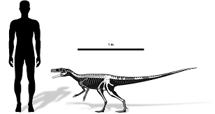 primeiros dinossauros do Brasil - Staurikosaurus pricei - comparativo